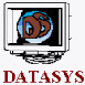 Datasys icon